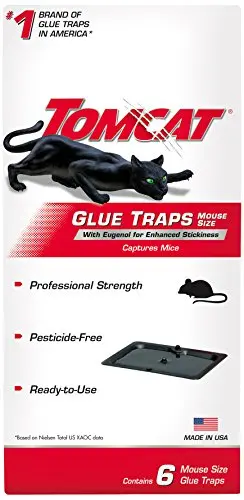 Tomcat glue traps showing black adhesive surface with mouse illustration