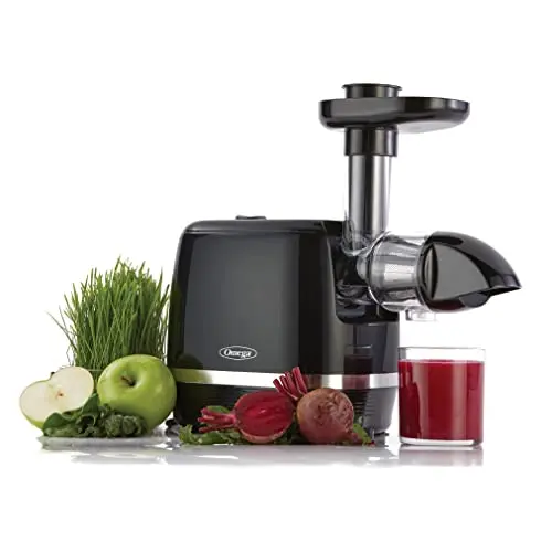 Omega H3000D cold press slow masticating juicer