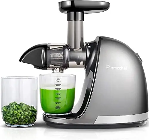 AMZCHEF gray slow masticating juicer machine with multiple functions