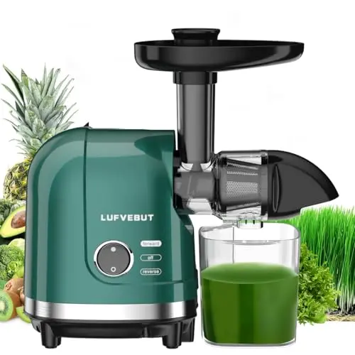 LUFVEBUT green slow masticating juicer with vegetables