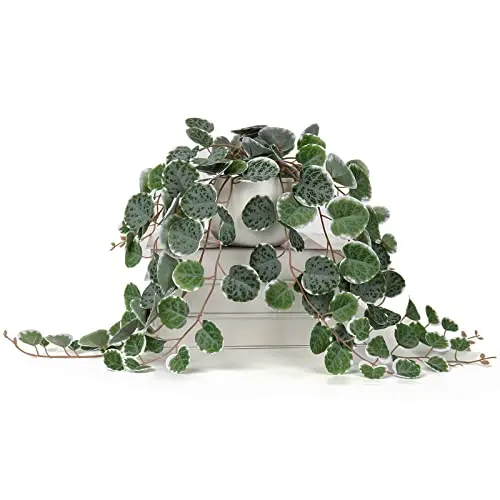 Briful artificial string of hearts plant with cascading vines