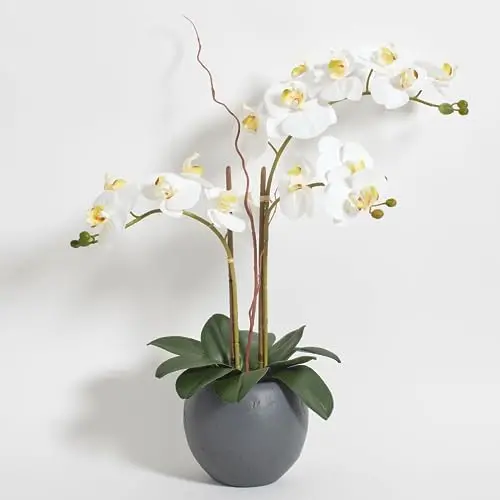 CG Hunter artificial white orchid plant in grey planter
