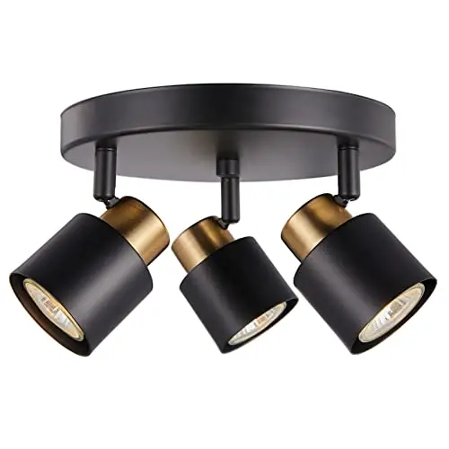 CRAFTRONOS track lighting kit with black and brass finish