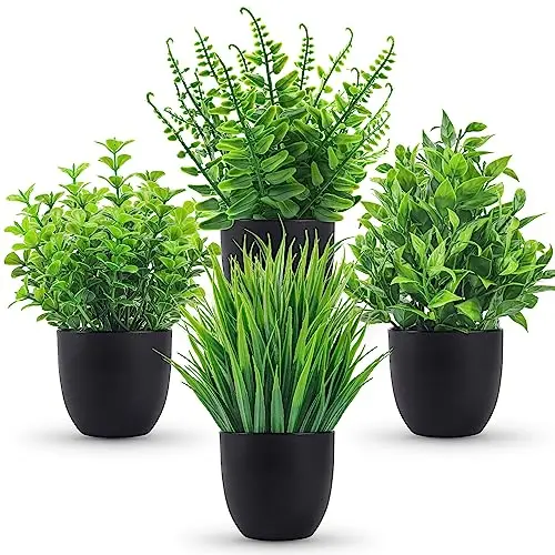 Der Rose four small artificial plants in black pots