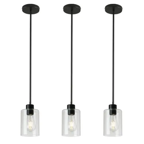 KLSS black pendant light with clear glass and stem rods