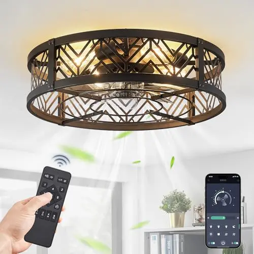 LEDIARY 20-inch black caged ceiling fan with app and remote control