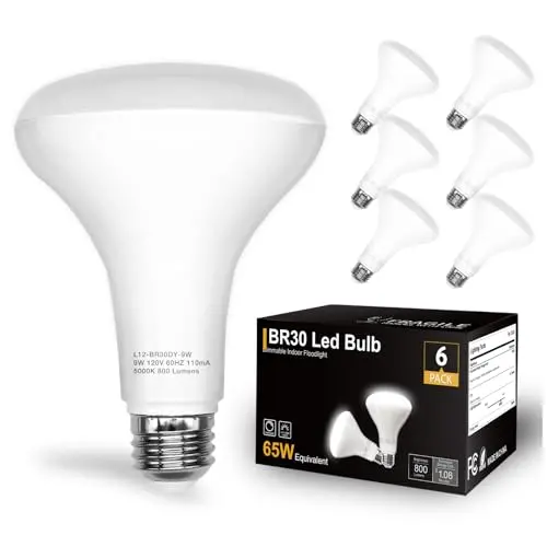 DAYBETTER BR30 LED light bulbs daylight white for kitchen ceiling