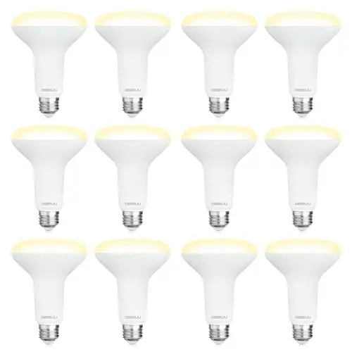 DEGNJU BR30 LED soft white recessed light bulb