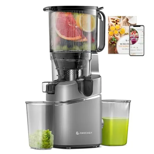 AMZCHEF juicer with triple filtration system in grey