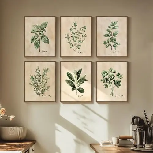 Cuspin sage green botanical herb canvas prints for kitchen