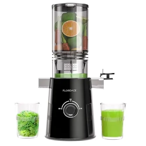 Floisdace compact cold press juicer in black
