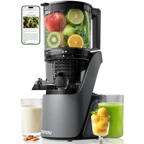 Canoly C16 cold press juicer in space gray