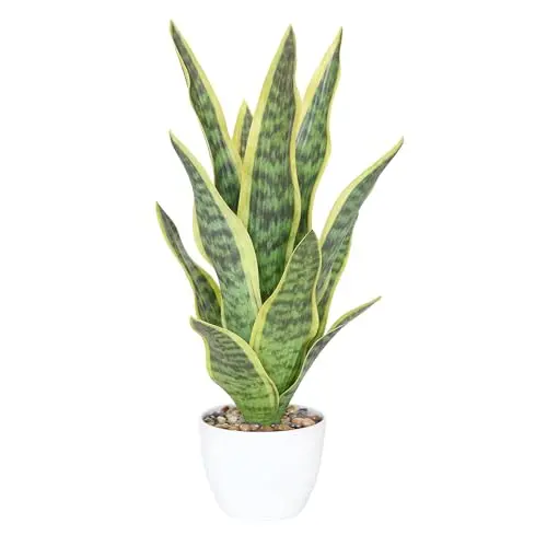 Muhanjia artificial snake plant in white pot