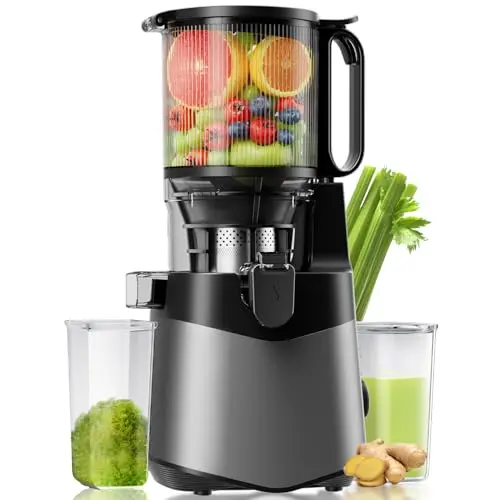 EanOruus cold press juicer in deep grey color