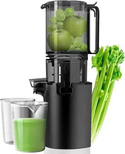 EanOruus cold press juicer with 10-second disassembly for quick cleaning